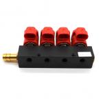 4 Cylinder Engine LPG CNG Injector Rail LVTK04 For Automobiles