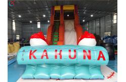 China Factory Commercial Goldfish Inflatable Slide Inflatable Dry Slides For Outdoor supplier