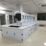 Durable School Island Bench Laboratory , Chemical Resistant Modular Lab Table for sale