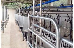 China Parallel Quick Release Automatic Cow Milking Parlor Electric Milk Meter supplier