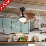 30 Mini Ceiling Fan With Light Wood Blade 6 Speed Choice Hi Speed