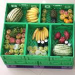 Collapsible Crate for Stackable Vegetable Crates Heavy Duty Folding Moving Box for sale