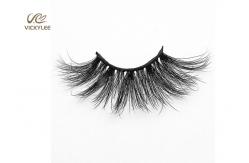 China Synthetic Fibers Stunning Effects 25mm 6D Volume Lashes supplier