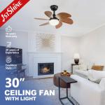 1stshine/OEM Logo 6 Blades LED Light Kit Residential BLDC Ceiling Fan with 2- for sale
