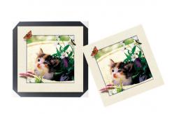 China SGS 3d Lenticular Picture With PS Frame 0.6mm Pet Thickness 5d Photos supplier