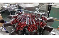 China Food Snacks Semi Automatic Packing Machine 304SS With Multihead Weigher supplier