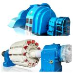 IP54 Protection Grade Pelton Type Turbine Generator for Power Generation in Cast Iron/Stainless Steel for sale