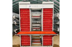 China Layer Chicken Poultry Cage Cold Galvanized Steel Wire Mesh supplier