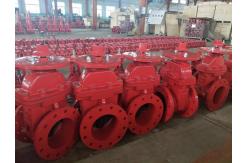 China Fire Fighting Foam Concentrate manufacturer
