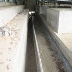 Automated Livestock Poultry Manure Removal System Hot Dipped Galvanized for sale