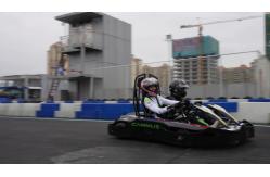 China Racing Electric Pedal Powered Go Kart 8 Levels Adjustment Single Motor supplier