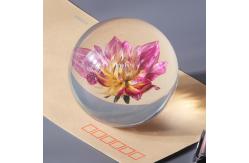 China Custom Resin Paperweight 3 Inch 4 Inch 5 Inch Crystal Paper Weights supplier