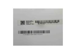 China AUO Vertical Stripe 15.6 Inch LCD Pane B156XTN08.1 1366*768 100PPI supplier