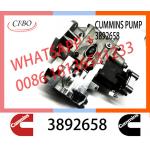 PT pump 3895537 3892658 nt855 dielel engine parts PT fuel pump 4951420 3895537 3892659 3892658 For Cummins for sale
