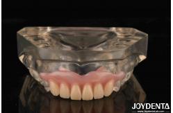 China Tooth Arrangement Technology Flexible Denture Finish High Elasticity Customization supplier