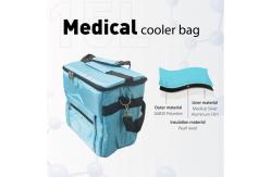 China Medication Insulated Soft Cooler Bag Diabetic 15L Cold Box And Vaccine Carrier supplier