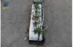 China Tomato Hydroponic PP Roll Vegetables Planting Gutter In Modern Farming supplier