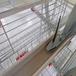 Q235 Broiler Farm Battery Baby Chick Cage Good Isolation for sale
