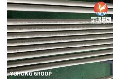 China ASTM A312 TP304 Pickled Surface Stainless Steel Seamless Pipe PT Available supplier