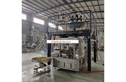 China Fully Automatic Packaging Machine For Premade Bag Stand Up Pouch supplier