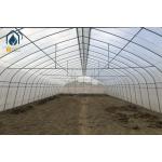 Farming Plastic Green House Metal Frame Structure Single Span High Tunnel Agriculture Greenhouse For Plants for sale