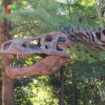 Weather Resistance T Rex Skeleton Replica for sale