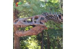 China Weather Resistance T Rex Skeleton Replica supplier