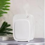 HOMEFISH OEM ODM Waterless Aromatherapy Air Diffuser Commercial 500-1000CBM for sale