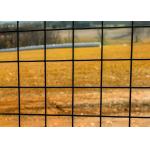 Galvanised Welded Metal Wire Mesh 12 Gauge PVC Coating 2x2 Inch Wire Mesh for sale