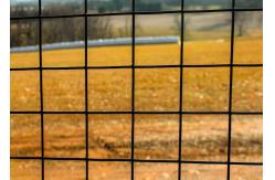 China Galvanised Welded Metal Wire Mesh 12 Gauge PVC Coating 2x2 Inch Wire Mesh supplier