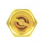 Anti Air Rotation Brass  Check Valve Vertical Male Female Check Valve