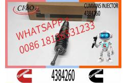 China Remanufactured High Quality Common Rail Diesel Fuel Injector 4088725 4384260 supplier