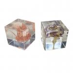 Cubic Flower Paperweight With Dandelion Inside Embed Processing for sale