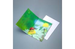 China High Quality Factory Wholesale Custom Printing 3D Motion Effect Lenticular Card supplier