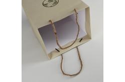 China Recycled Custom Paper Shopping Bag packaging design solutions supplier