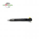 New Fuel Injector EJBR00301D A6710170121 for Delphi Engine