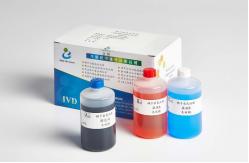 China BRED-015 Sperm Morphology Staining Kit Diff Quik Rapid Staining Method supplier