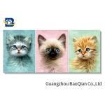 Home / Hotel Wall Photo 3D Effect Printing Lovely Cat / Dog Stereograph for sale