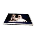C101EAN01.0 10.1 inch TFT LCD panels 1280*720 resolution for sale