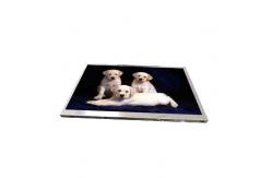 China C101EAN01.0 10.1 inch TFT LCD panels 1280*720 resolution supplier