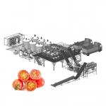Energy Saving Type Tomato Processing Line For Jam Making for sale