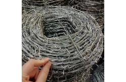 China High Security Fencing High Tensile Barbed Wire Galvanized 250m 500m Roll supplier