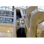 800kg High Speed Elevator Full Glass Sightseeing Panoramic Elevator for sale