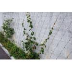 Custom Size Stainless Steel Cable Trellis Mesh Unique Texture Impact Resistance