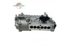 China Fuel Injection Pump BH6P110 5676 BH6P120 P10Z010 P10Z002 For C6121 Engine supplier