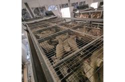 China ISO9001 Poultry Drinking System , 360degree Automatic Chicken Nipple Drinker supplier