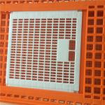 Plastic crates for the transfer of chickens