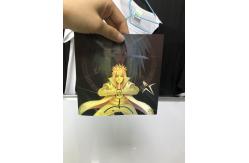 China 3D 0.4mm TPU Clothes Patch Custom Lenticular Printing supplier
