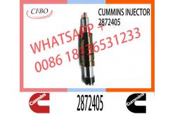 China Fuel Injector Assembly 2872544 2086663 2057401 2872405 203183 Common Rail Injector supplier
