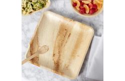 China Disposable Biodegradable 6 8 10 Palm Leaf Square Plates supplier